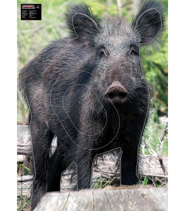 Tir Nature - Championnat de Bretagne - 10/05/2026