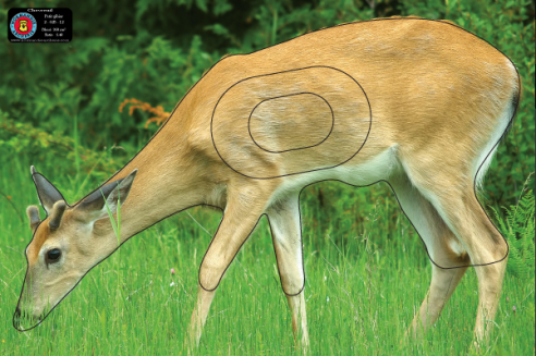 Tir Nature - Championnat de Bretagne - 10/05/2026