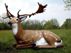 Modele 3D