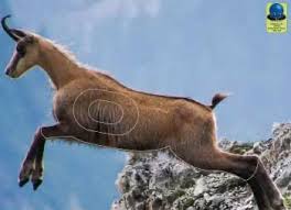 NATURE - PLOEUC SUR LIE - 03 mai 2026