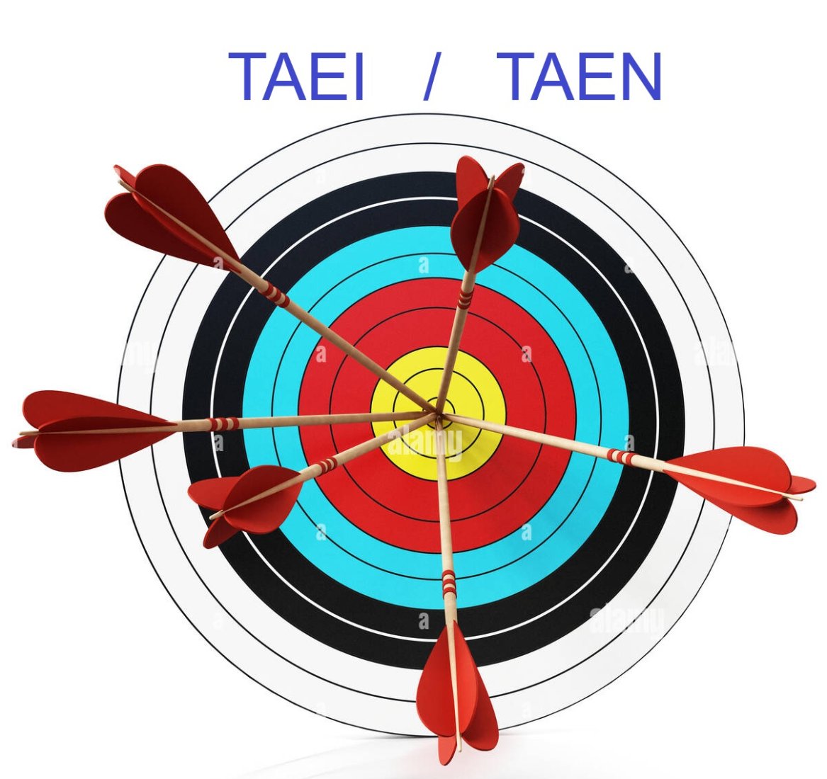 TAE - PLESLIN TRIGAVOU - 23 et 24 mai 2026